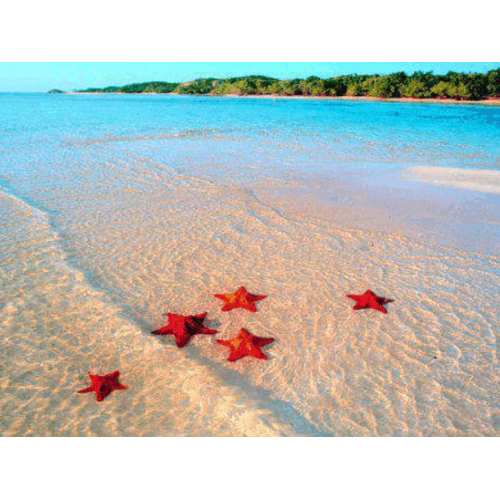 Sao Biển tour Phú Quốc 1 ngày